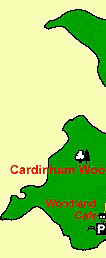 Cardinham Woods